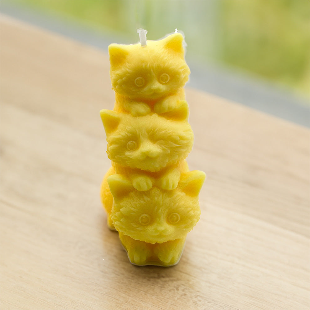 Honey Comb Cute Kittens Trio Candles