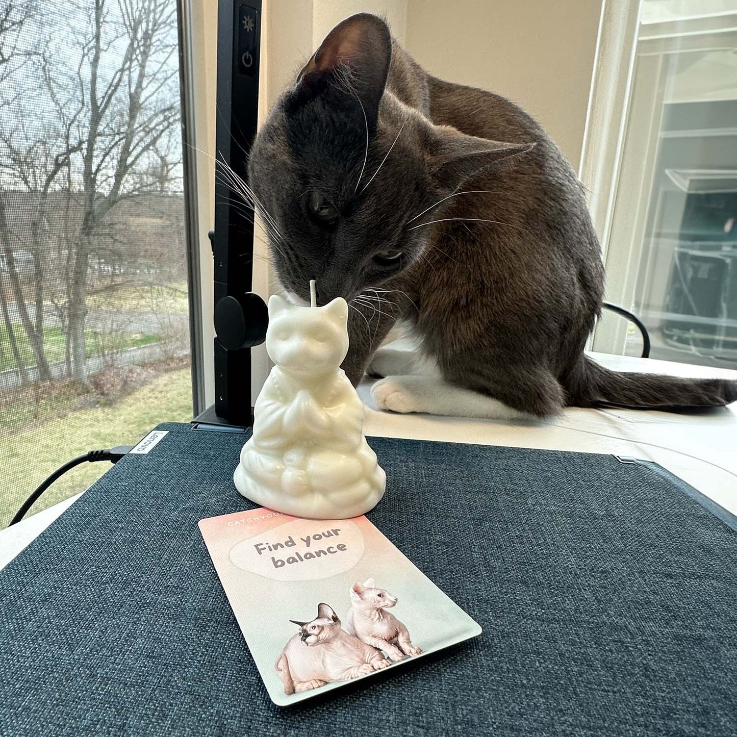 Meowditation Kitty Candles