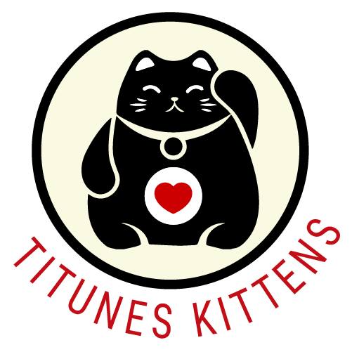 Titunes Kittens