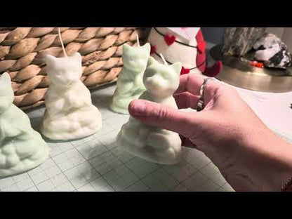 Mediation and cleaning space Kitty Candles - Sage and Chamomile